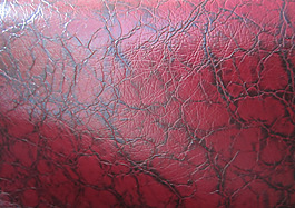 2013 香港皮革展 免費(fèi)素材