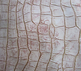 2013 香港皮革展 免費(fèi)素材