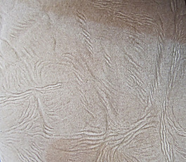 2013 香港皮革展 免費(fèi)素材