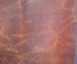 2013 香港皮革展 實(shí)物面料 免費(fèi)素材