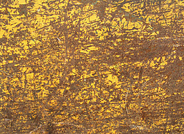 位圖 特殊紋理 免費(fèi)素材