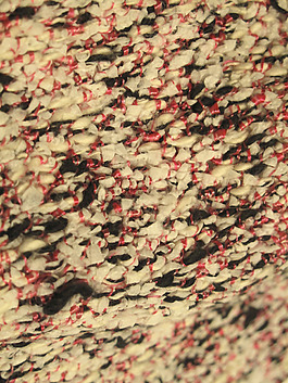 實(shí)物面料 2014春夏Pitti Filati展會(huì) 免費(fèi)素材