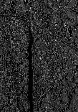 實物面料 蕾絲 免費素材