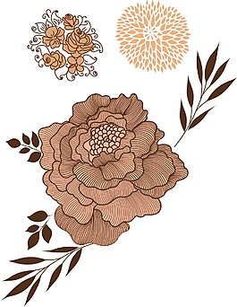 花紋花朵