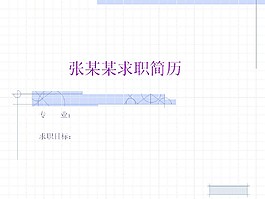 格子背景個人簡歷PPT模板