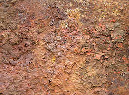 位圖 特殊紋理 免費(fèi)素材