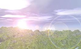 日落樹林 Underbrush.sunset