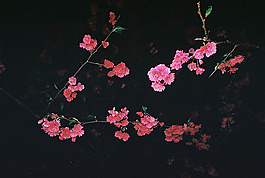 位圖 風(fēng)格 田園風(fēng) 免費(fèi)素材