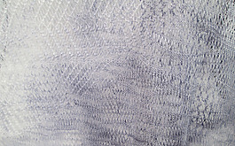 實物面料 上海紗線展 線紗 免費素材