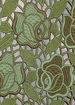 實(shí)物面料 刺繡蕾絲 免費(fèi)素材