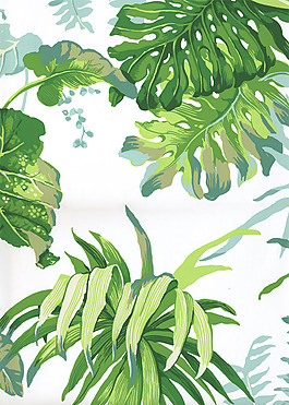 位圖 植物 植物花紋 免費(fèi)素材