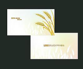 農業麥穗名片圖片