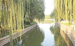 青島農(nóng)業(yè)大學(xué)虹子湖圖片