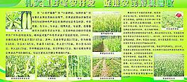 農業展板圖片