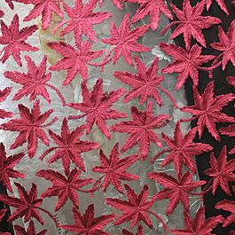 實(shí)物面料 蕾絲 植物花紋 免費(fèi)素材