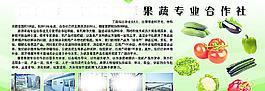 农业果蔬展板图片