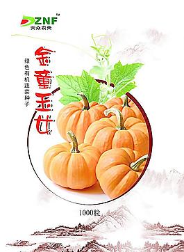 南瓜包裝圖片