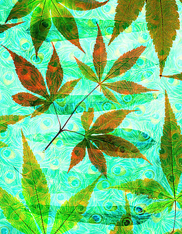 位圖 PSD 混合花紋 免費素材