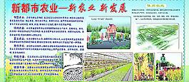 新都市農業圖片
