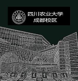 四川農(nóng)業(yè)大學(xué)招貼畫圖片