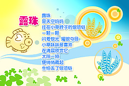 露珠