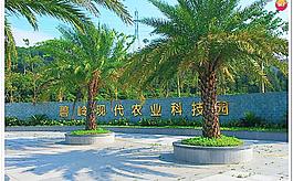 碧嶺現代農業科技園圖片