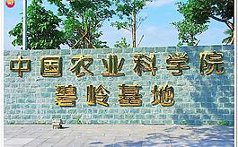 中國農業科學院碧嶺基圖片