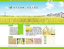 農(nóng)業(yè)公司的企業(yè)網(wǎng)站模圖片