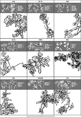 簡(jiǎn)易黑白花朵矢量素材