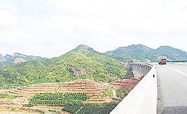 攝影農業 山上 橋下圖片