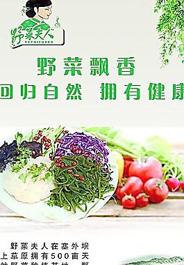 大拌菜展架图片