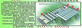 農業公司項目簡介圖片
