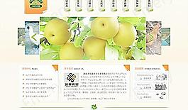 農(nóng)業(yè)網(wǎng)站模版效果圖圖片