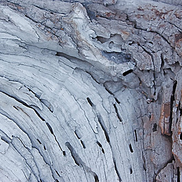 位圖 特殊紋理 免費素材