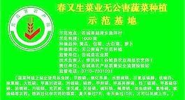 春又生菜業圖片