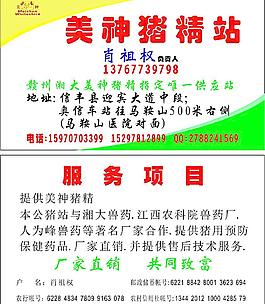 湘大 名片 豬精圖片
