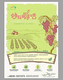 鮮活農場圖片