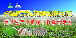 煙草生產(chǎn)情況預覽圖