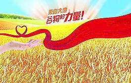 豐收景象圖片