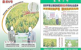 安徽袁禾五號圖片
