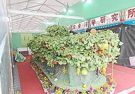 農(nóng)產(chǎn)品圖片