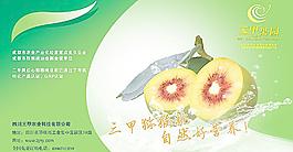 三甲果園展板圖片