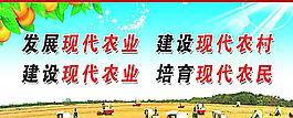 新農(nóng)村村建設(shè)圖片