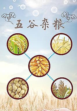 五谷雜糧圖片