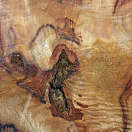 位图 特殊纹理 免费素材