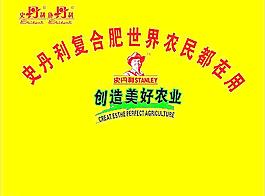 史丹利形象墻圖片