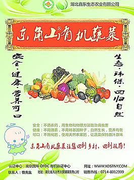 生態(tài)農(nóng)業(yè)宣傳單圖片
