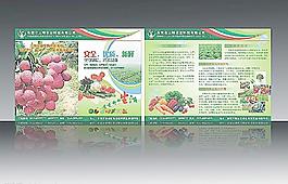 有機(jī)蔬菜及農(nóng)業(yè)荔枝宣傳單圖片