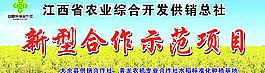 新型合作示范項目圖片