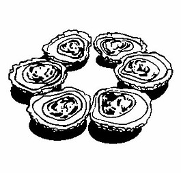 貽貝矢量素材